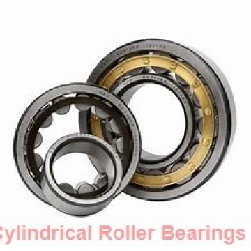 500 mm x 670 mm x 78 mm  ISO NF19/500 cylindrical roller bearings