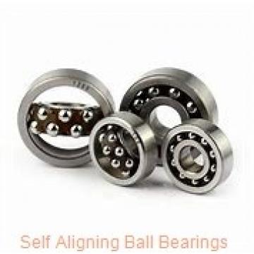 AST 1209 self aligning ball bearings